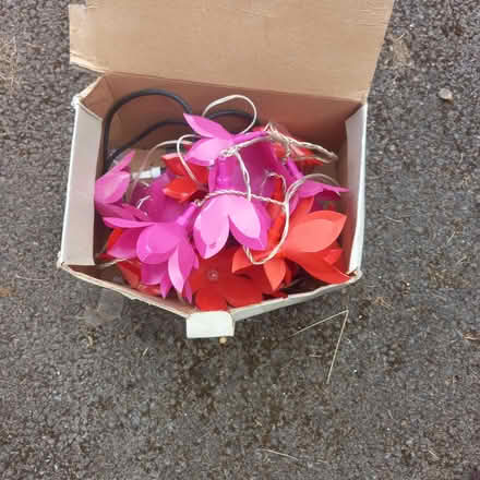 Photo of free Outdoor decorative lights (Charlton Kings GL52) #1