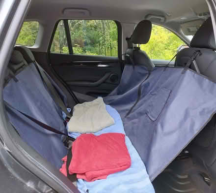 Photo of free Dog cover for car (Shavington CW2) #2