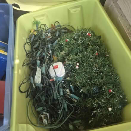 Photo of free Christmas lights (Woking) #2