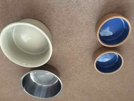 Photo of free Pets’ bowls (Horn's Mill SG13) #1