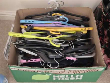 Photo of free Clothes-hangers (Eastbourne BN21) #1