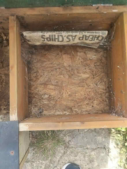 Photo of free Hedgehog House (Sn15 1LT) #3