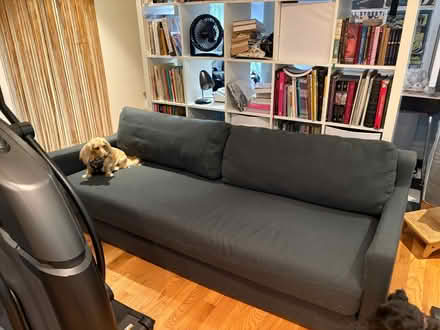 Photo of free Blue Dot sleeper sofa (Park Slope) #1