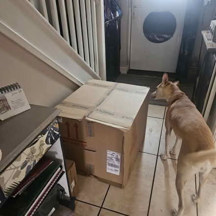 Photo of free Large cardboard box (Bampton, OX18) #2