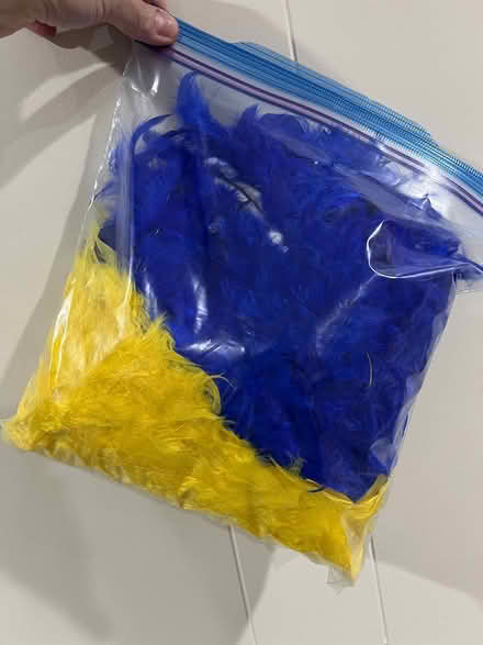 Photo of free Party Decorations (Wood Ridge) #2