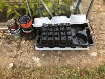 Photo of free Variety of plant plant pots (Whitnash CV34) #1