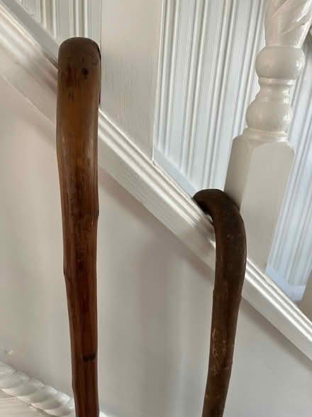 Photo of free Wooden walking sticks (Nazeing CM19) #3