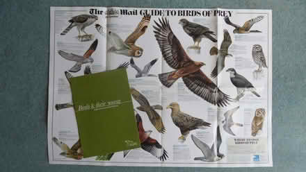 Photo of free RSPB Prints, Pamphlets and Posters (Church RG2) #2