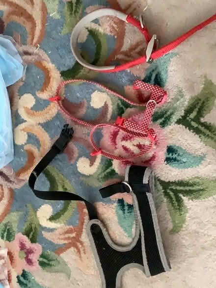 Photo of free Various items (Perivale W13) #4