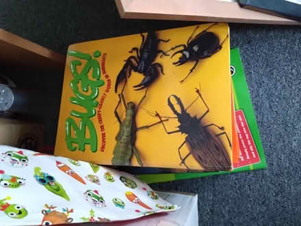 Photo of free Mathmos Lava lamps etc. (Dinas Powys CF64) #3