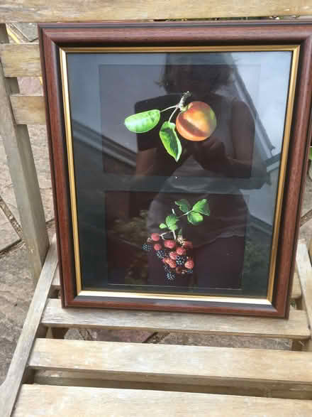 Photo of free picture (CO11) #1