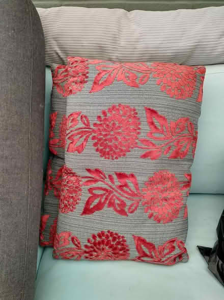 Photo of free Cushions (Runcton, PO20) #1
