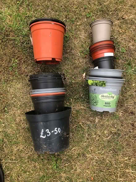 Photo of free Variety of plant plant pots (Whitnash CV34) #3