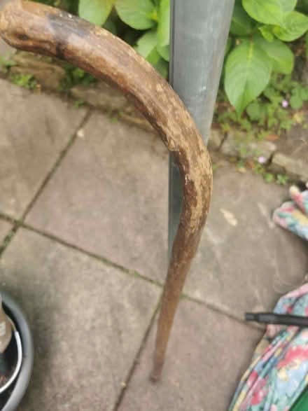 Photo of free Walking stick (Nether Green S11) #1