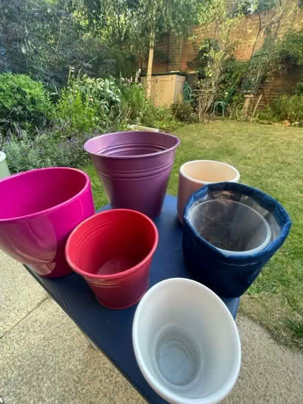 Photo of free House plant pots (Dollis Hill, NW2) #2
