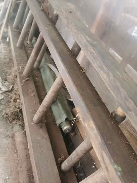 Photo of free Wooden ladder (Nether Green S11) #1