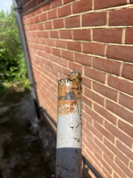 Photo of free Washing line (Haywards Heath RH16) #2