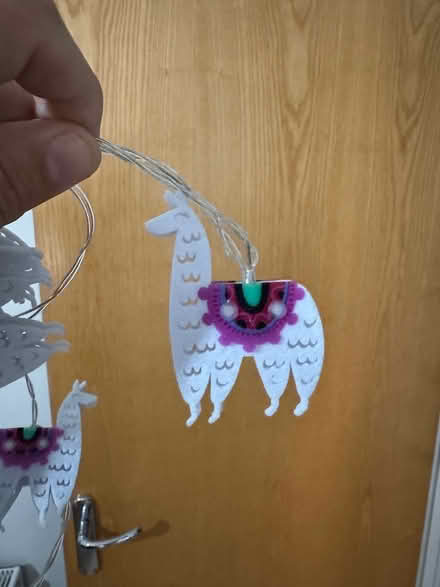 Photo of free Alpaca fairy lights (Cambridge station area) #1