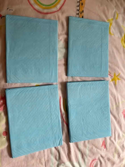 Photo of free Kids mattress protector (Bryson Road EH11) #3