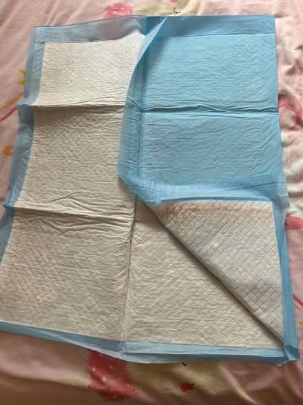 Photo of free Kids mattress protector (Bryson Road EH11) #2