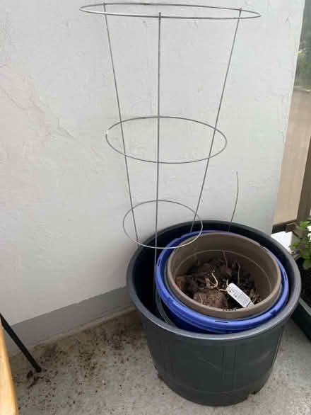 Photo of free Planters (The Annex) #1