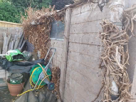 Photo of free Concrete sectional garage (Pe30 4aa) #3