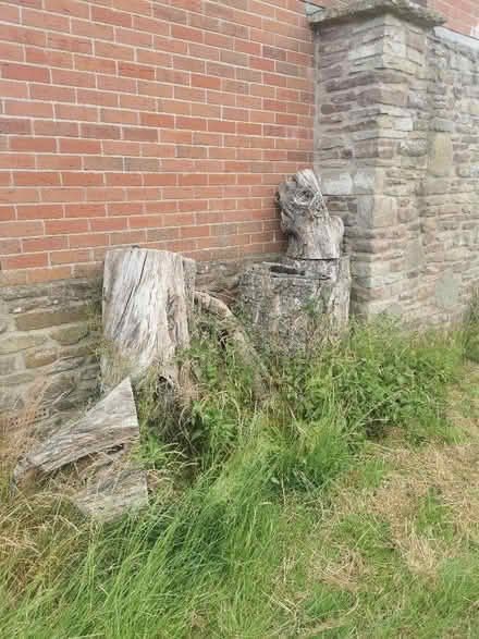 Photo of free Large logs (Leominster HR6) #1