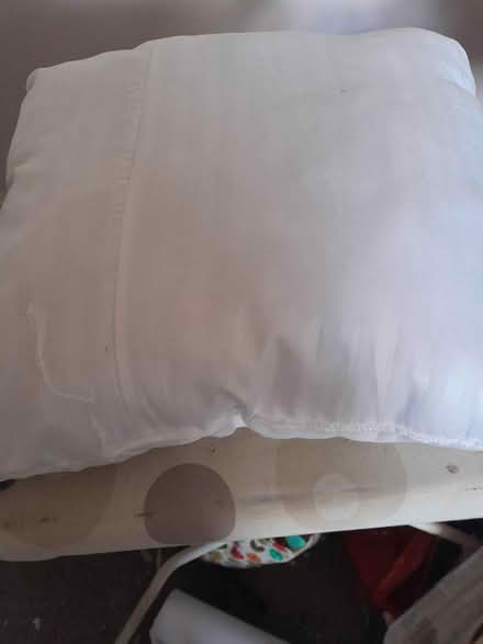 Photo of free New cushion inners 20cm X 20cm (Bridgnorth High Town WV16) #1