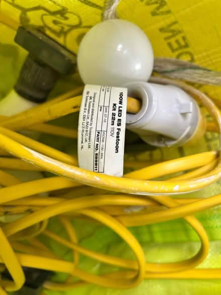 Photo of free 100W LED Festoon kit 22m (Near Kew Gardens, Richmond) #1