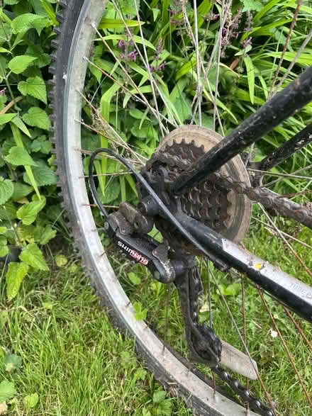 Photo of free Men’s Raleigh bike (Fairfield LA1) #2