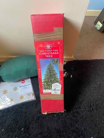Photo of free Two Christmas trees (Sherwood NG5) #2
