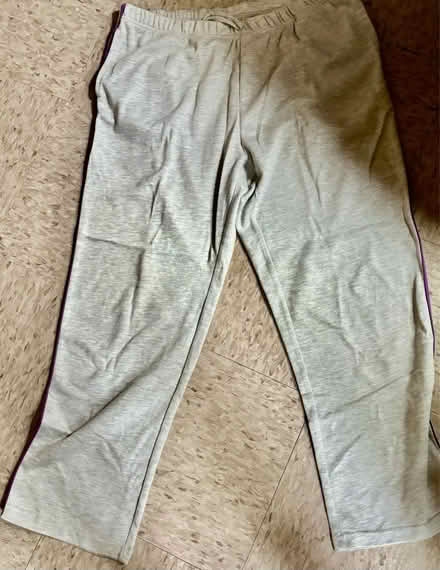 Photo of free Clothes: light pants and hoodie (Bronx, Ny) #1