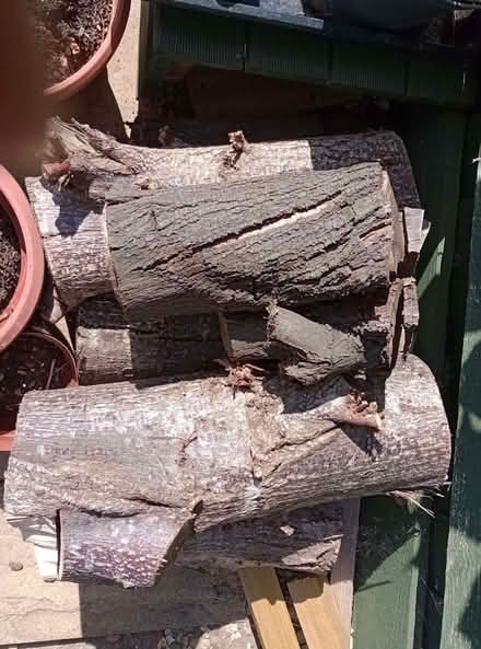 Photo of free Logs (Spalding PE11) #1