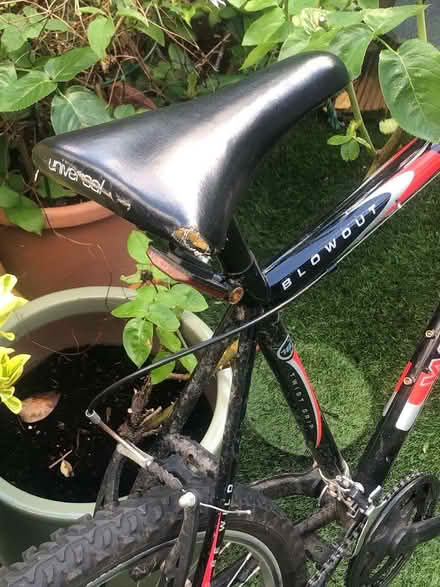 Photo of free Bicycle - Wildthing Blowout Universal 26in wheels 18 speed (West End GU24) #4