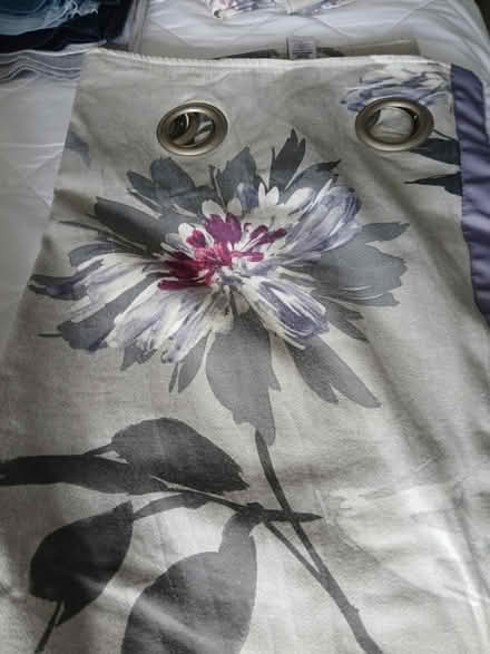 Photo of free Curtains (Belper DE56) #2