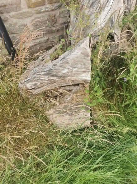 Photo of free Large logs (Leominster HR6) #2