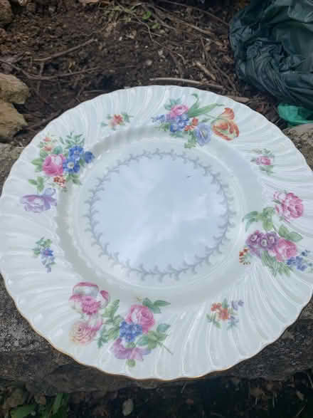 Photo of free Large plate (BA2) #1