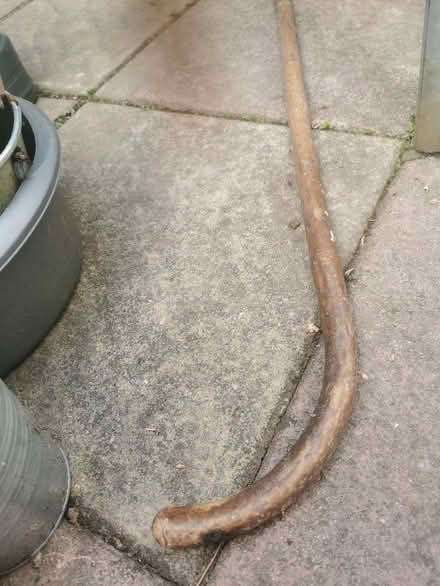 Photo of free Walking stick (Nether Green S11) #2