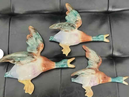 Photo of Flying ducks (Cheney Manor SN2) #1