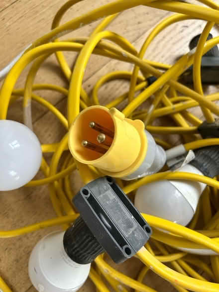 Photo of free 100W LED Festoon kit 22m (Near Kew Gardens, Richmond) #3