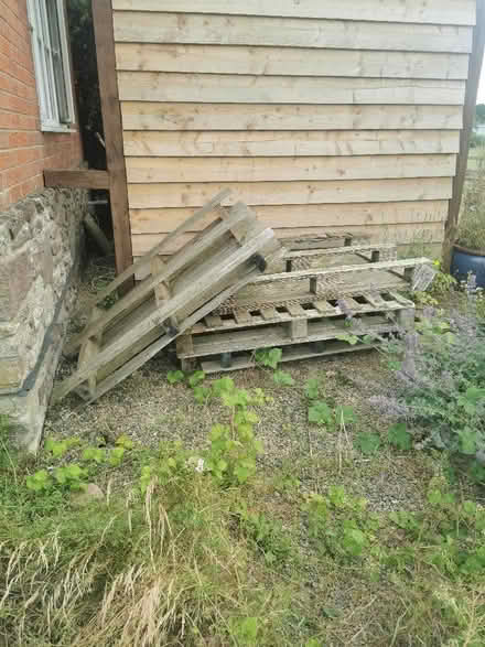 Photo of free Pallet wood (Leominster HR6) #1