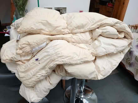 Photo of free Old duvets (Heaton Mersey SK4) #1
