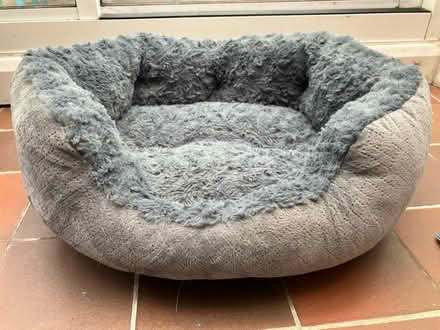 Photo of free Cat bed (Hampton Hill) #1