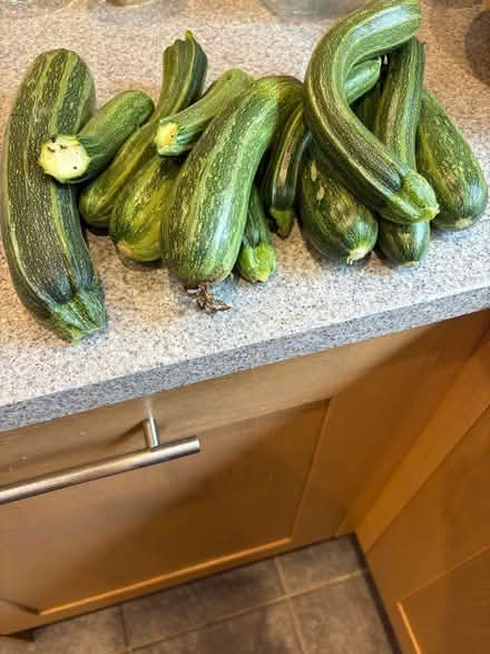 Photo of free Courgettes (Lyncombe) #1