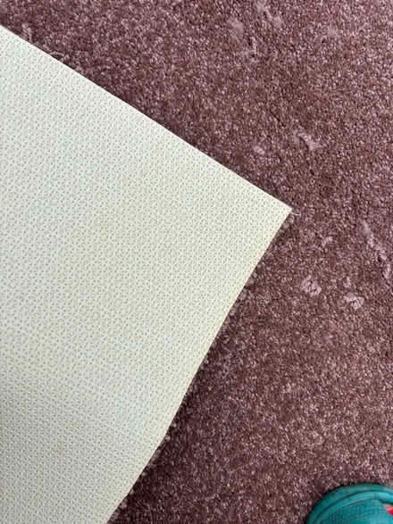 Photo of free Carpet new never used (Seaside BN22) #3