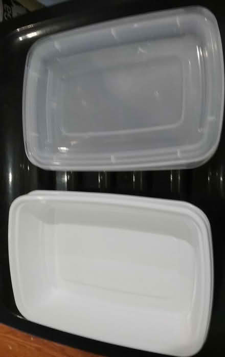 Photo of free approx 30 take out containers (Holiday FL) #1