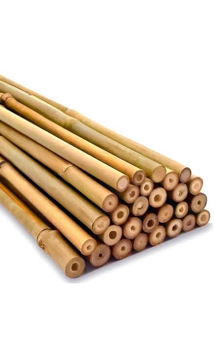 Photo of 2 bamboo canes, at least 1.5mt (BN22) #1