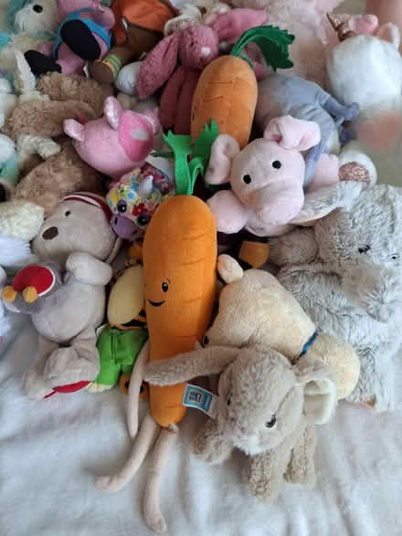 Photo of free Soft toys (Hoylake CH47) #2