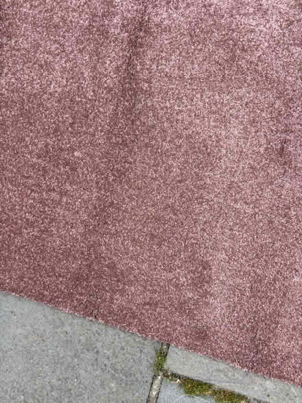 Photo of free Carpet new never used (Seaside BN22) #2