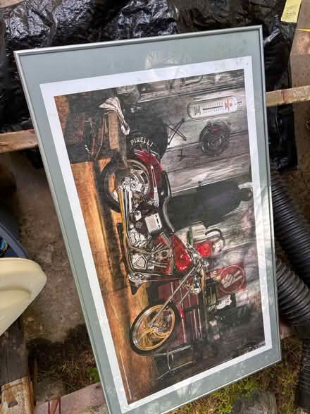 Photo of free stuff (Quaker valley area) #3